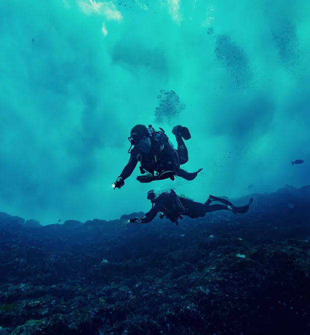 “LORD HOWE ISLAND HAS THIS AMAZING DIVERSITY  OF WILDLIFE.”